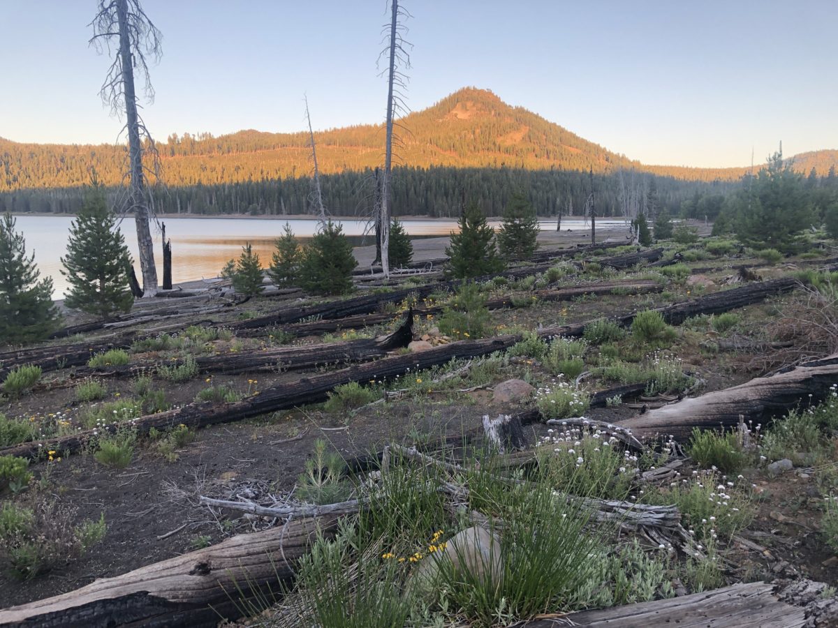 Camped by Snag Lake