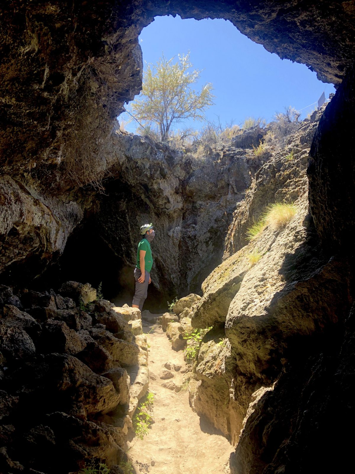 Sunlight contemplation in Lava tubes