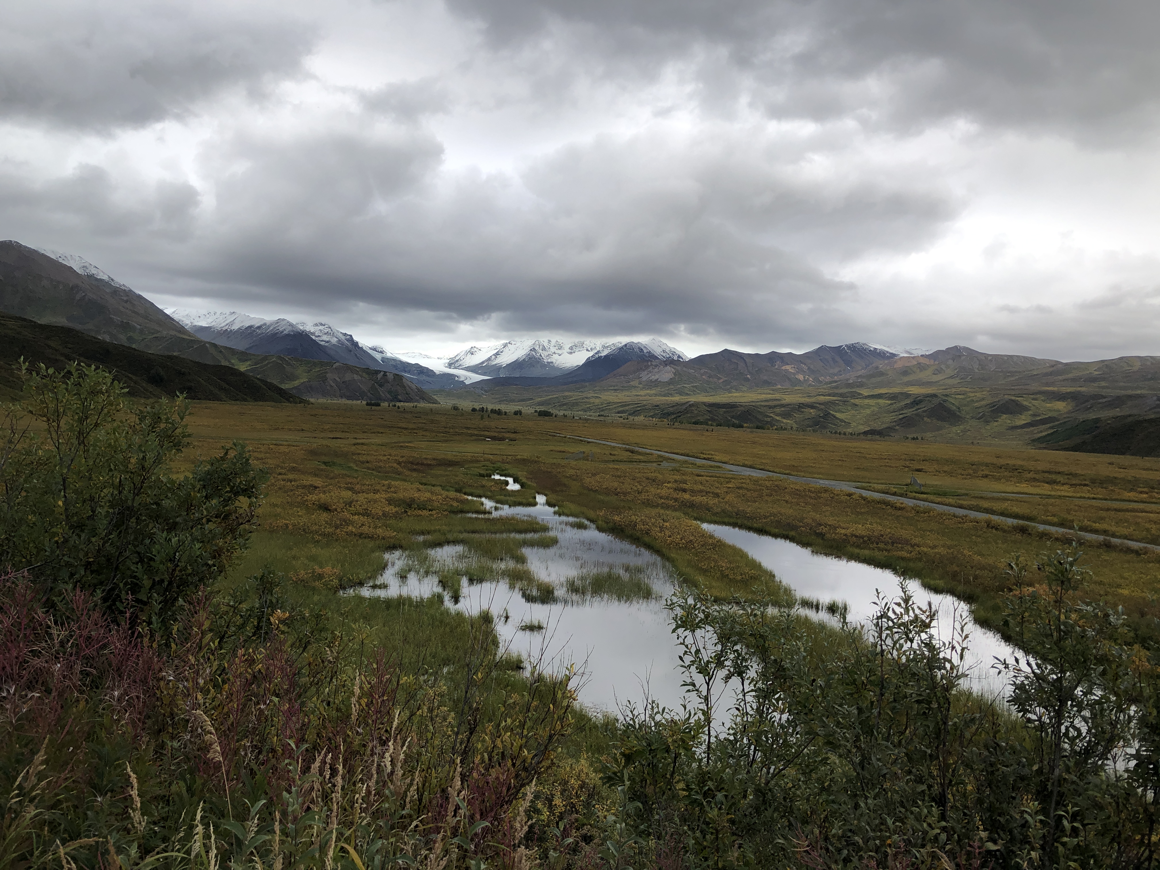 marshland in the foreground with mountains and glaciers in the background